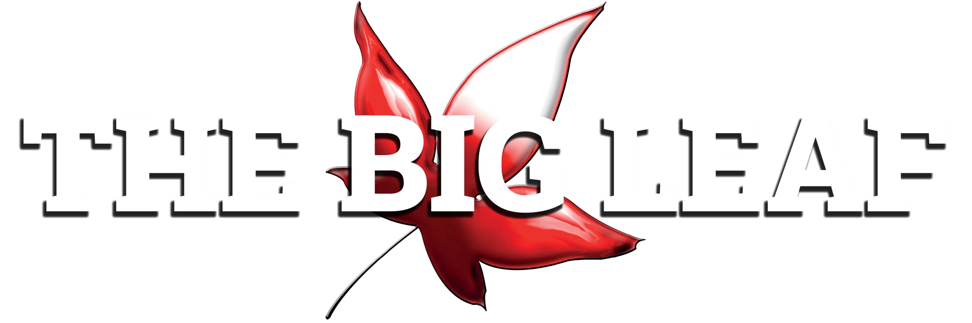 THE BIG LEAF Promo Code — 90 Off in September 2024