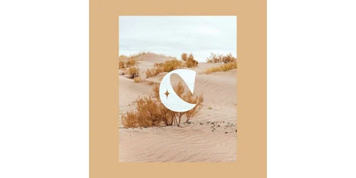 The Chasm Co. Promo Code