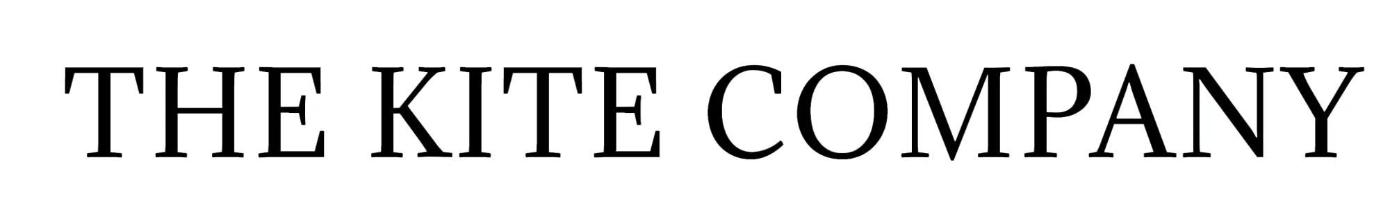 The Kite Company Merchant Logo