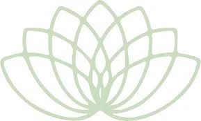 The Lush Lily Merchant Logo