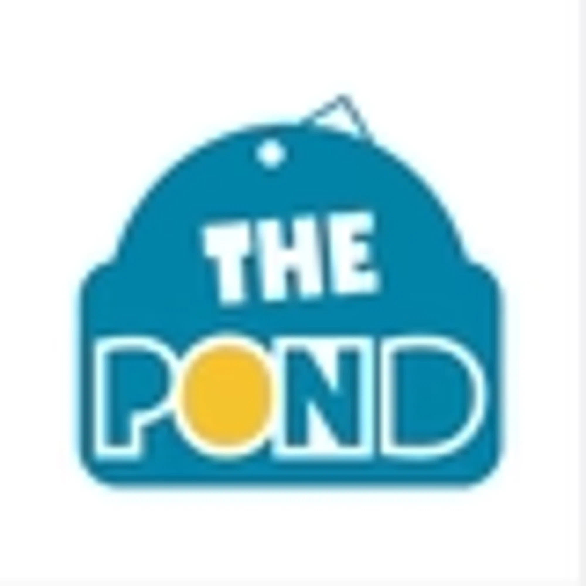 THE POND Promo Code — Get 200 Off in July 2024