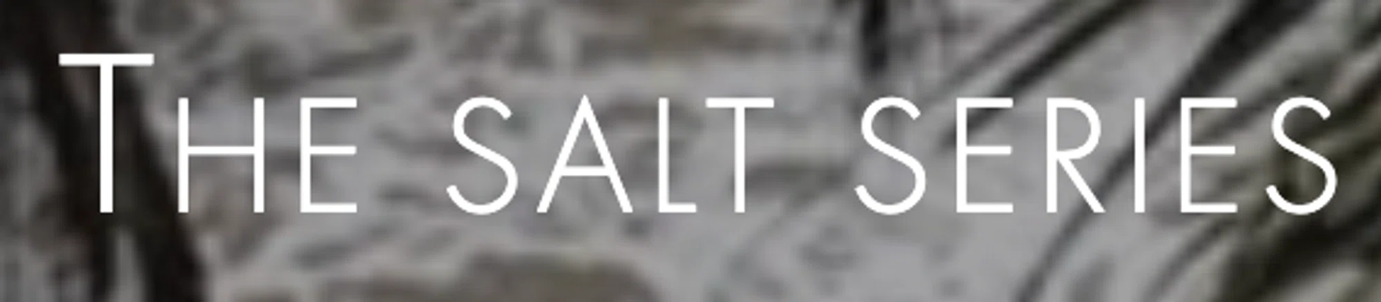 The Salt Series Merchant Logo