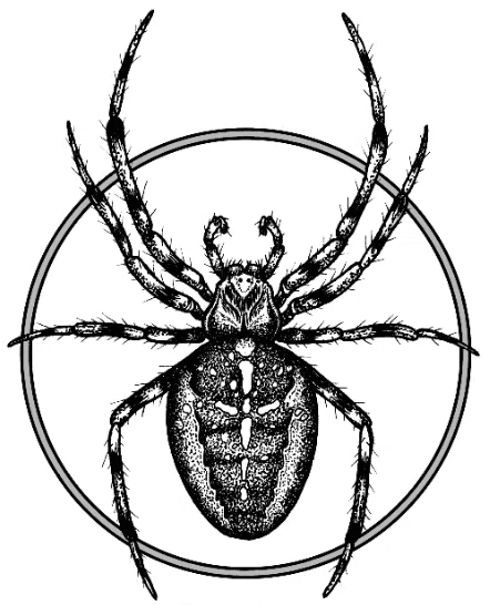 The Spider Shop Merchant Logo
