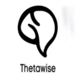 Thetawise AI Promo Code