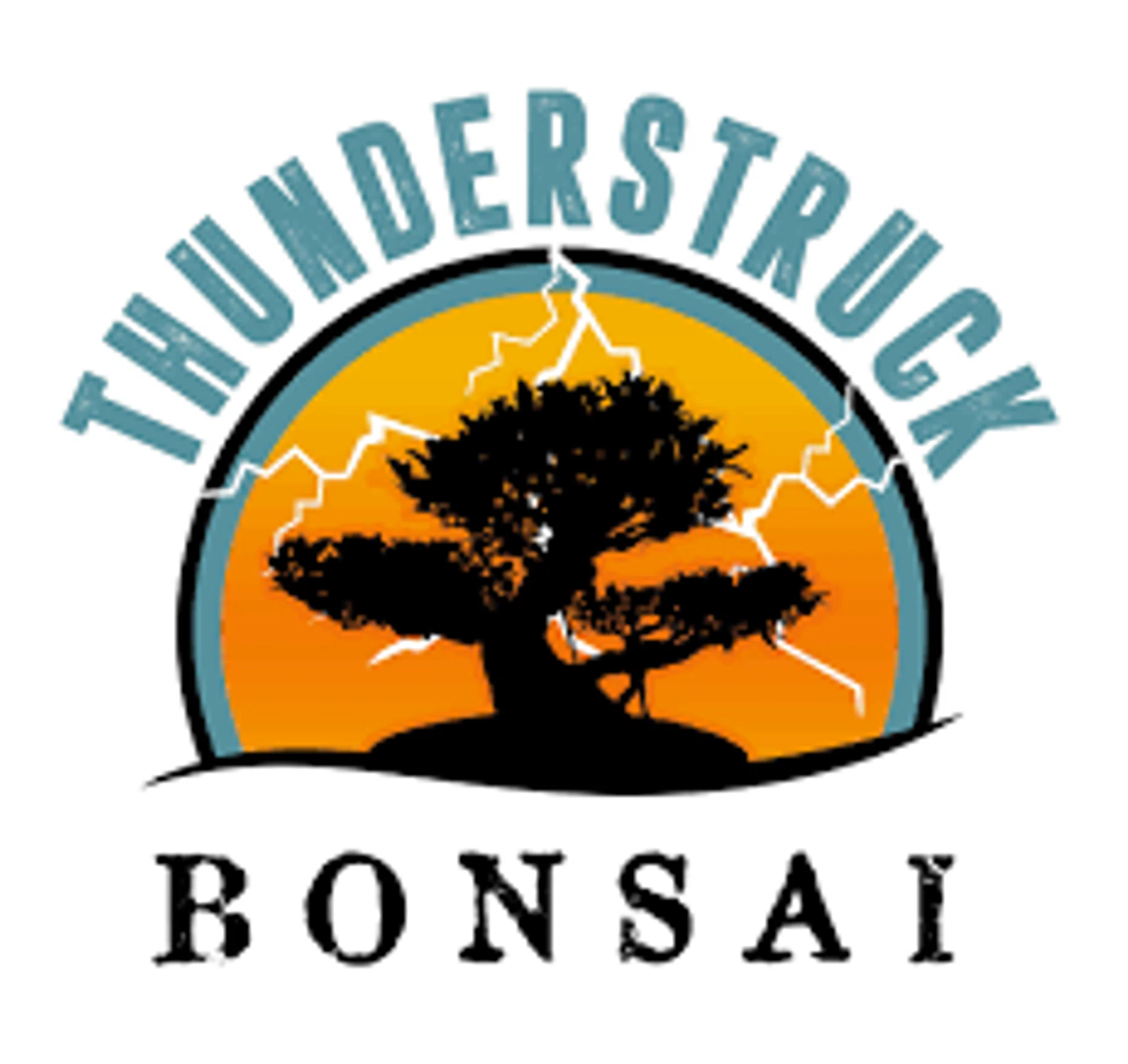 THUNDERSTRUCK BONSAI Promo Code — 15 Off 2024