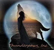 Thunderpaws Inc. Merchant Logo