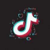 TikTok2Earn Merchant Logo