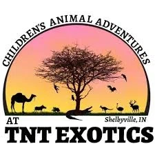 TNT EXOTICS Promo Code — Get 80 Off in August 2024