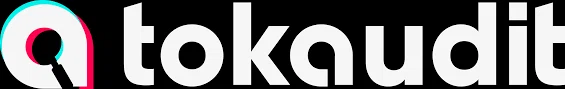 TokAudit Merchant Logo