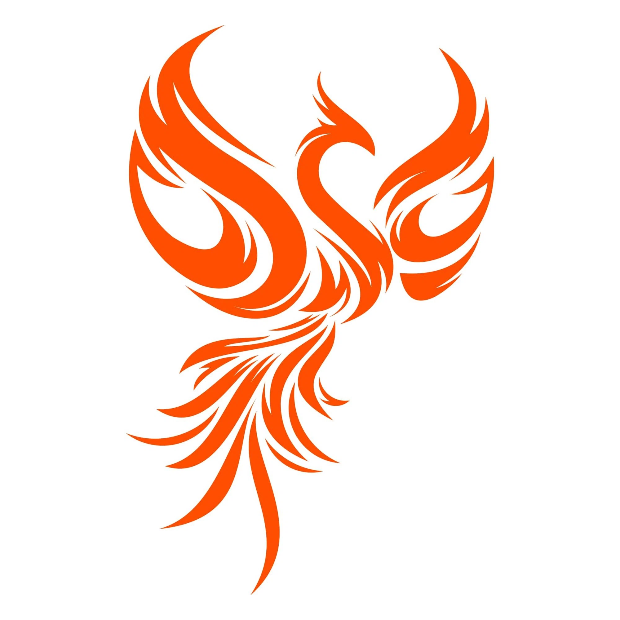 Transcend with Phoenix Merchant Logo