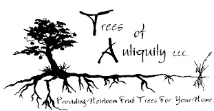 Trees of Antiquity Promo Code