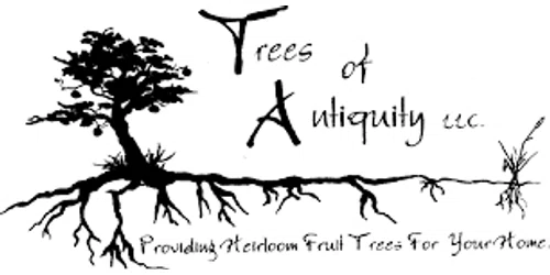 Trees of Antiquity Merchant logo