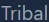 Tribalkb.online Merchant Logo