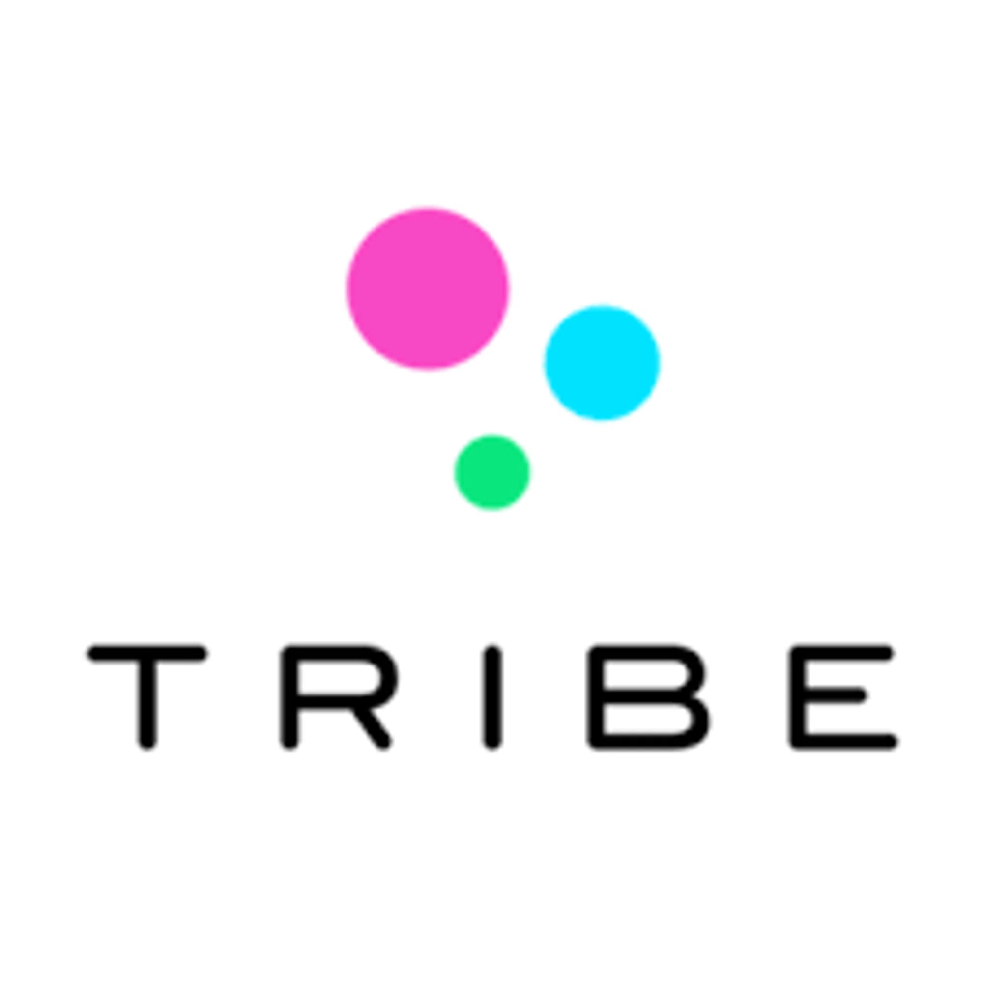 Does TRIBE price adjust? — Knoji