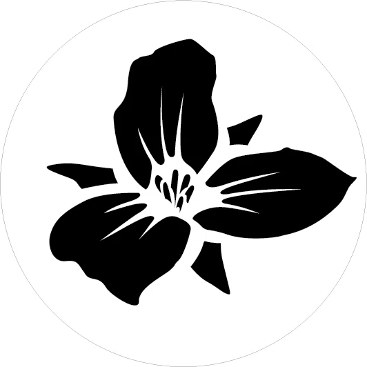 Trillium Brewing Promo Code