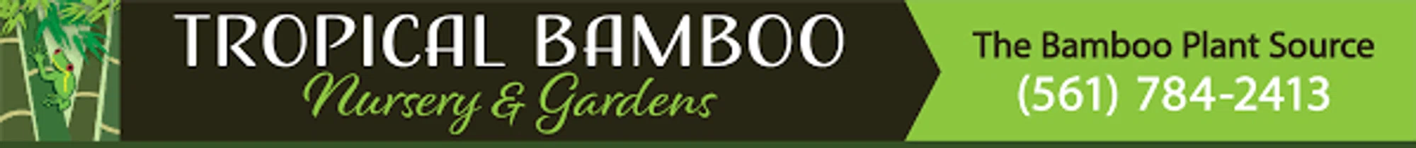 Tropical Bamboo Merchant Logo