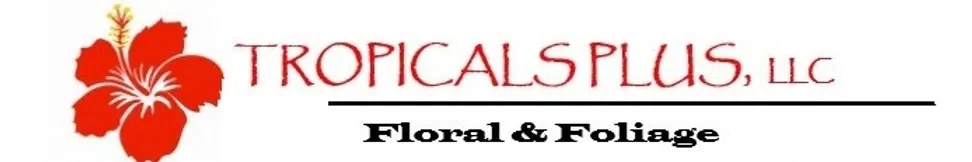 TROPICALS PLUS Promo Code — 150 Off in August 2024