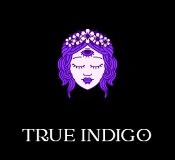 True Indigo Holistic Shop Merchant Logo