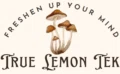 True Lemon Tek Merchant Logo