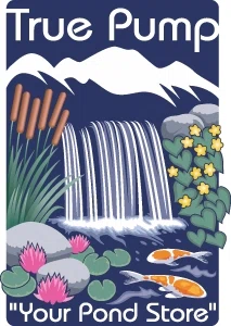 TRUE PUMP & EQUIPMENT Promo Code — 150 Off 2024