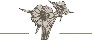 TUMBLEWEED BOTANICALS Promo Code — 70 Off 2024