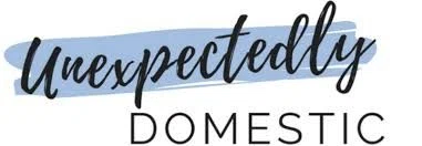 Unexpectedly Domestic Promo Code