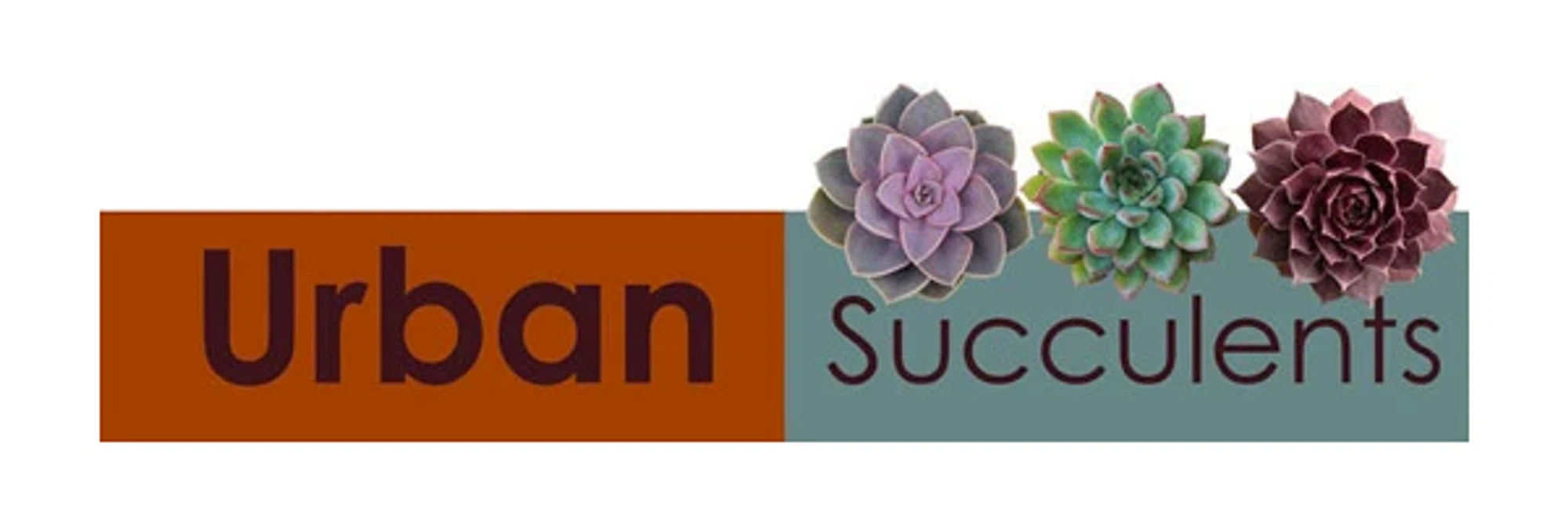 Urban Succulents coupons