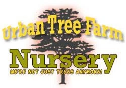 URBAN TREE FARM NURSERY Promo Code — 150 Off 2024