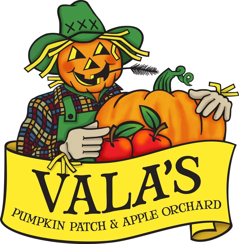 20 Off Vala's Pumpkin Patch Promo Code (1 Active) Feb '24