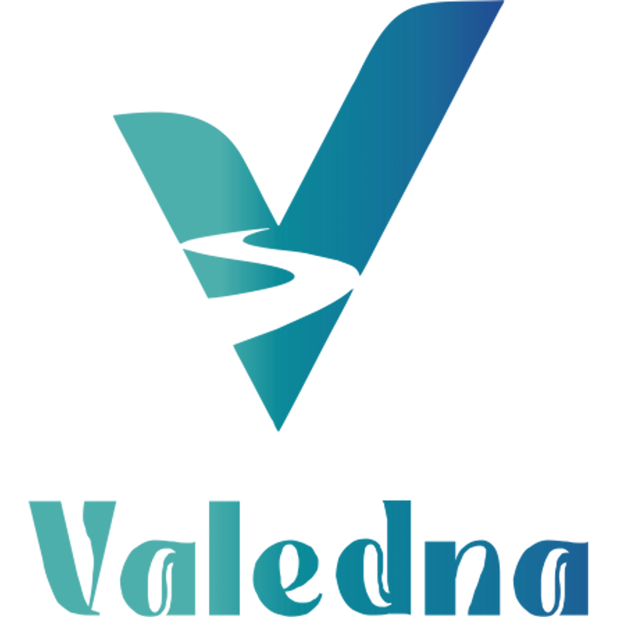 Valedna Promo Code