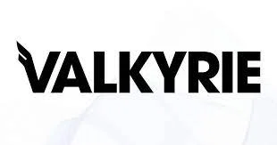 Valkyrie Merchant Logo