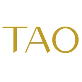 Tao Company Jewelry by Vanessa Arcila Merchant Logo