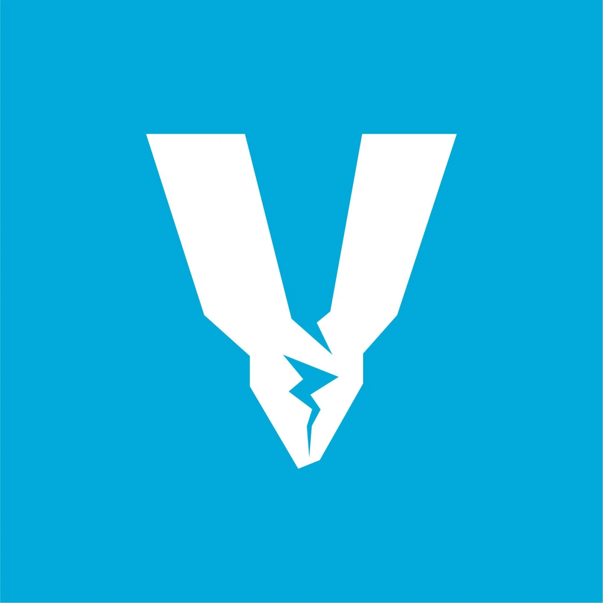 Veekel Merchant Logo