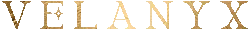 Velanyx Merchant Logo