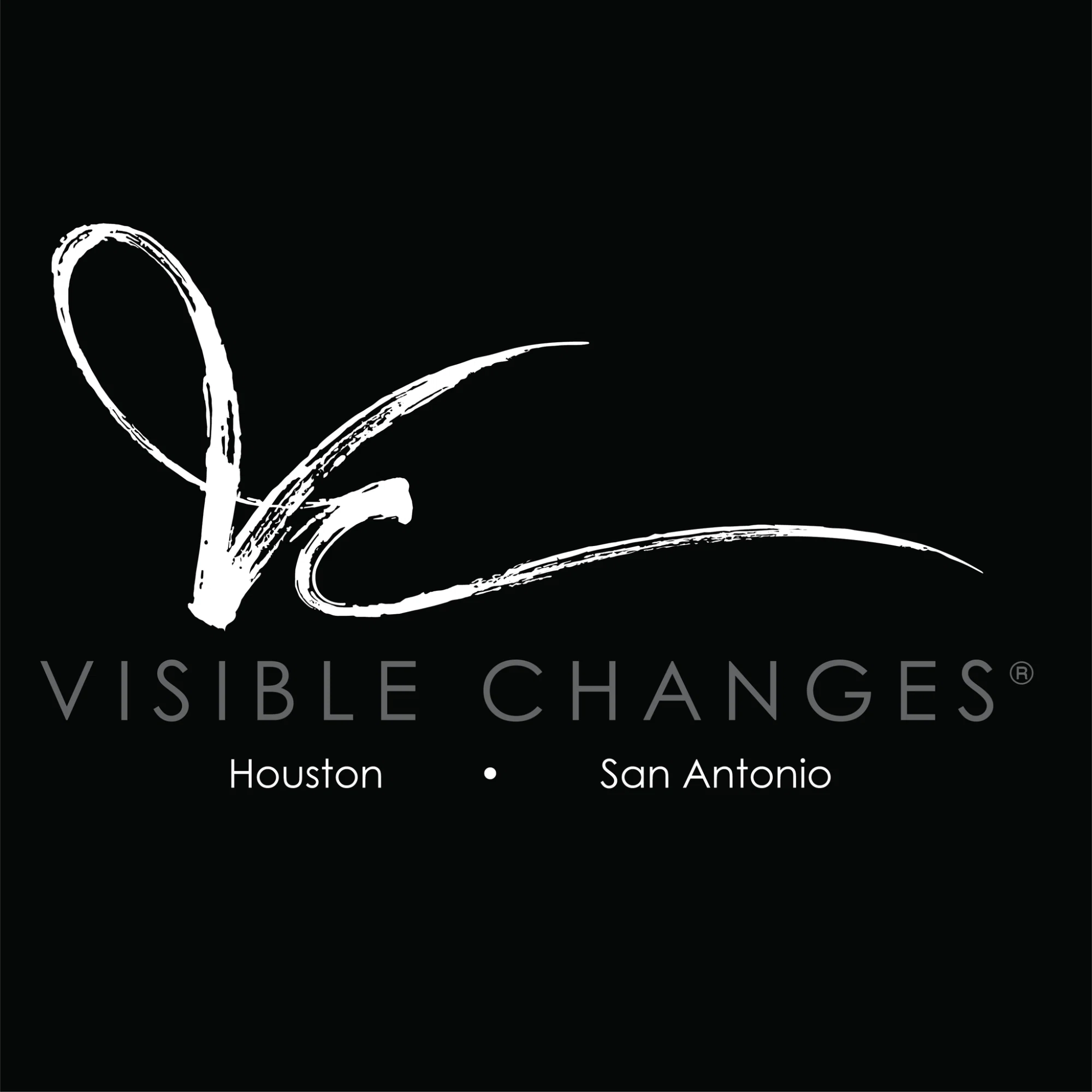 Visible Changes Merchant Logo