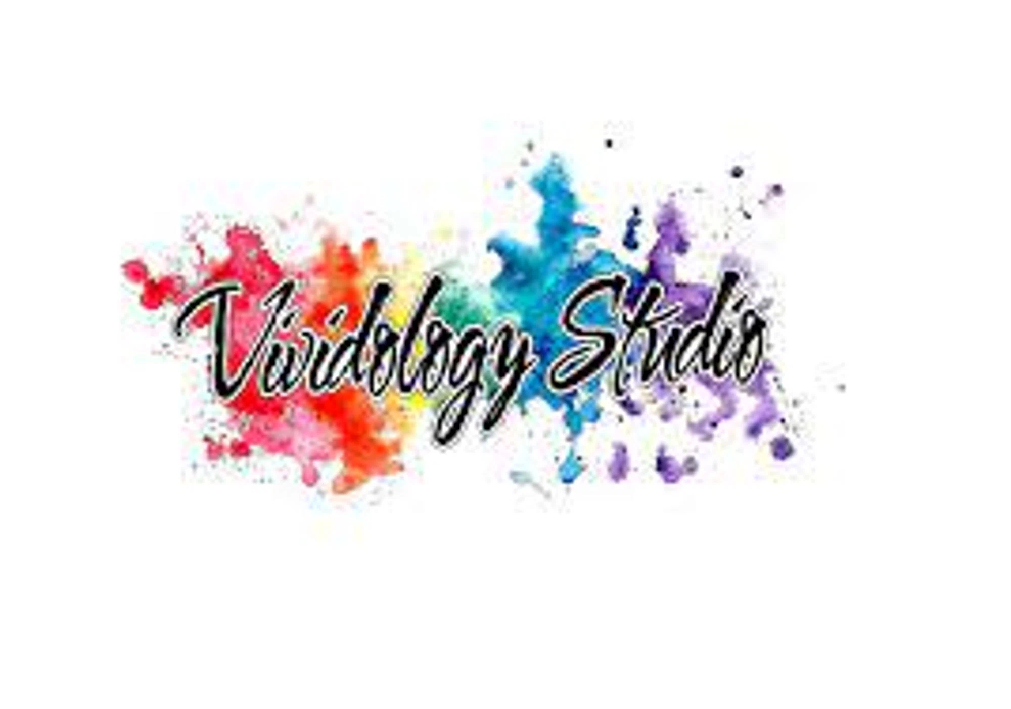 Vividology Studio Merchant Logo