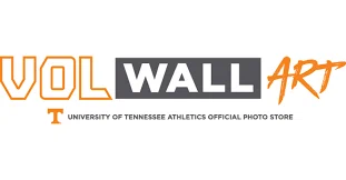 Vol Wall Art Promo Code