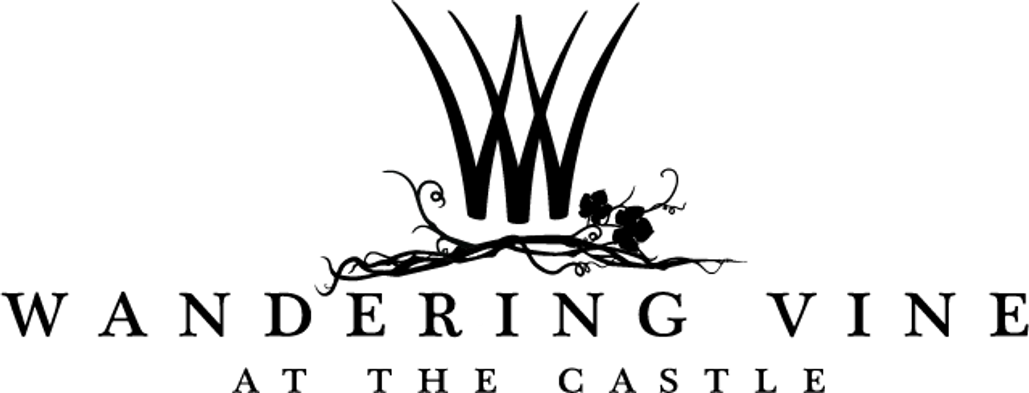 WANDERING VINE Promo Code — Get 40 Off in July 2024