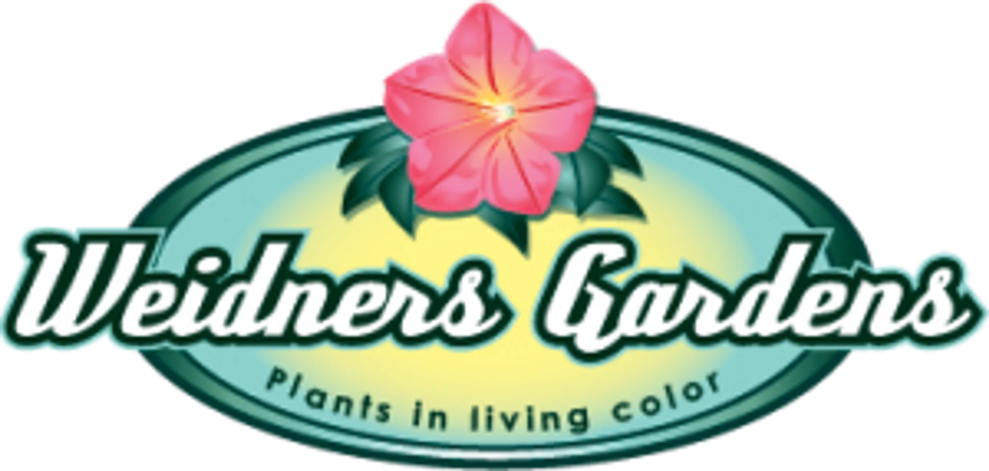 WEIDNERS Promo Code — Get 200 Off in September 2024