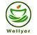 Wellyer Promo Code