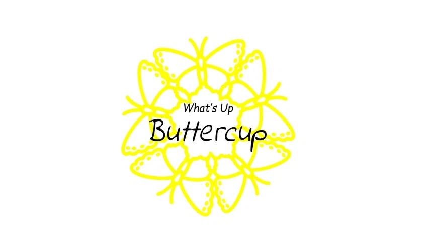 WHAT'S UP BUTTERCUP Promo Code — 143 Off Sep 2024