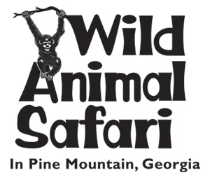 wild safari promo code