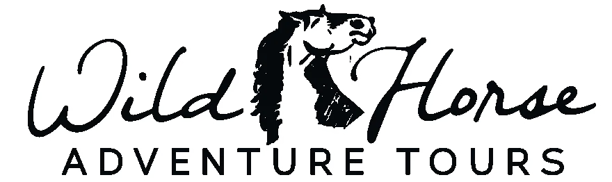 Wild Horse Adventure Tours Merchant Logo
