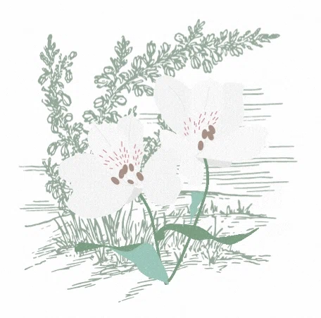 Wild Natural Living discount code