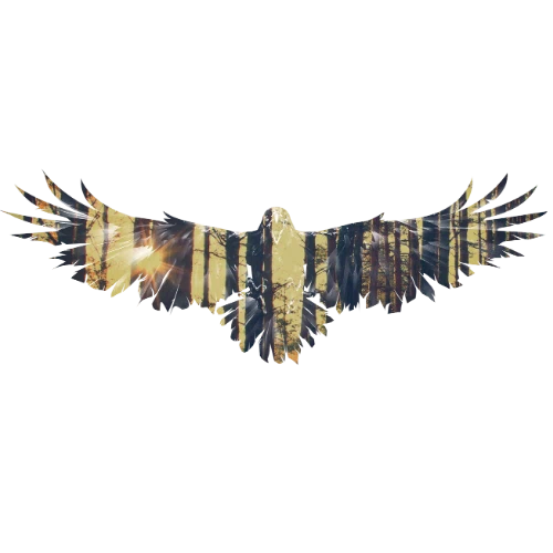 Wild Raven's Nest Promo Code