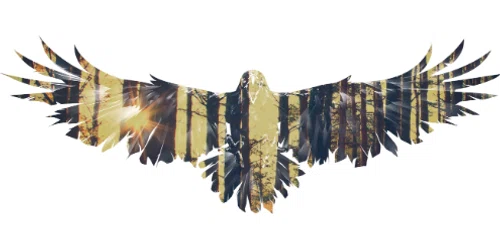 Wild Raven's Nest Promo Code