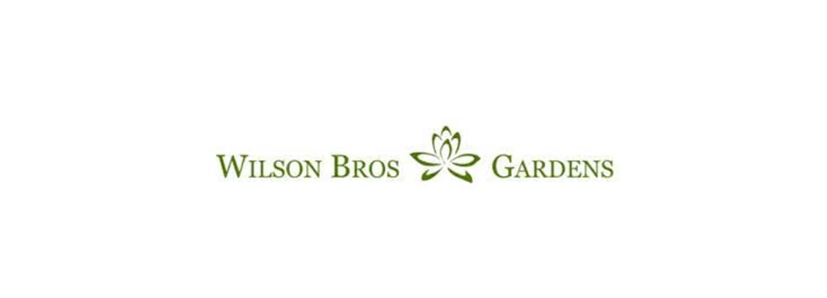 Buy Chocolate Mint Plants, FREE SHIPPING, Wilson Bros Gardens