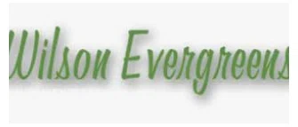 Wilson Evergreens Merchant Logo