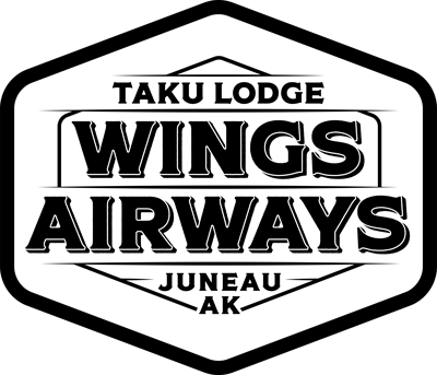 Wings Airways Merchant Logo