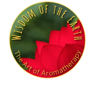 Wisdom Of The Earth Merchant Logo